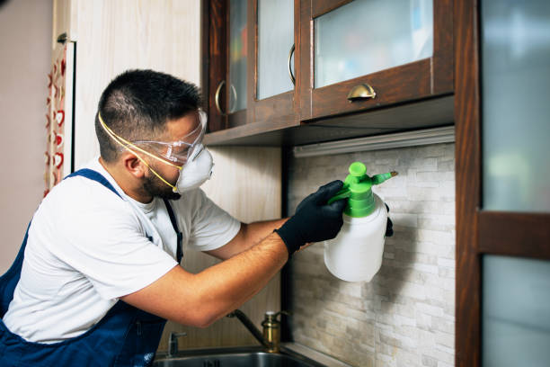 Professional Pest Control in Brea, CA